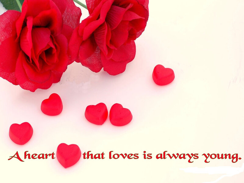 Red Roses and Hearts — Romantic, Photograph