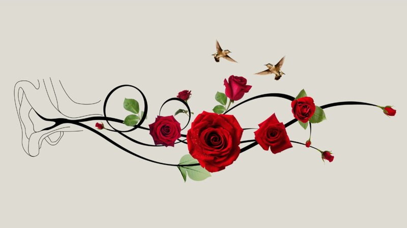 Red Roses and Hummingbirds