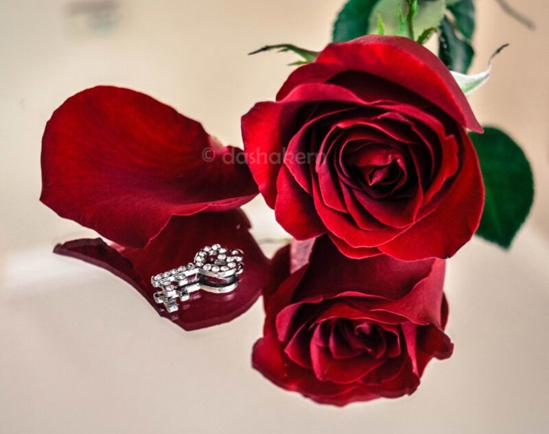 Red Roses and Key
