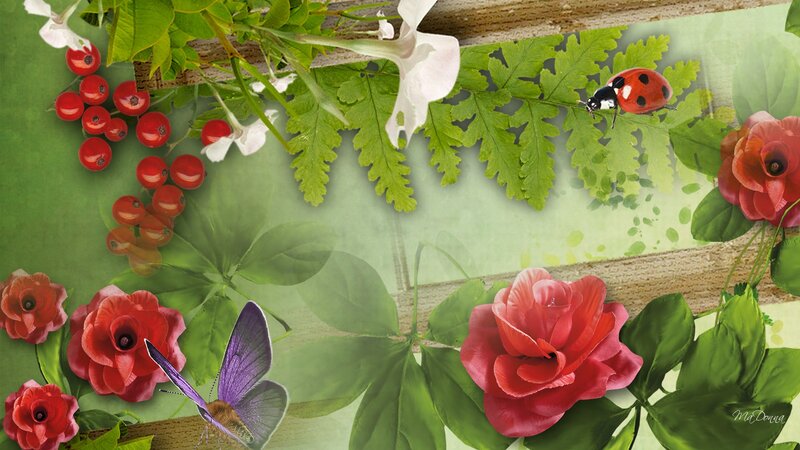 Red Roses and Ladybug
