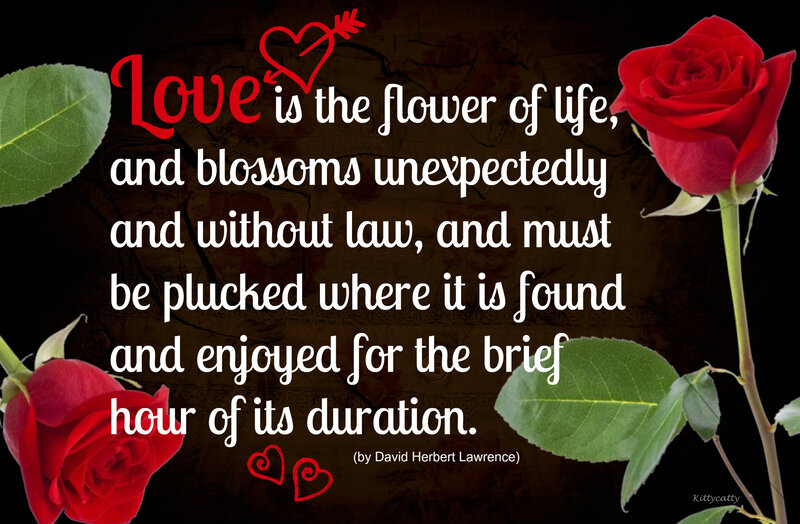 Red Roses and Leaves