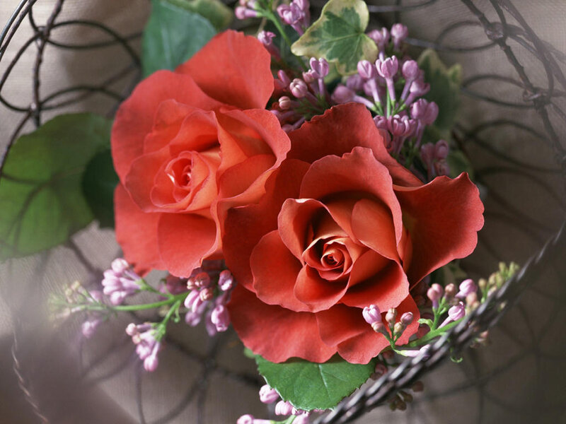 Red roses and lilacs in basket