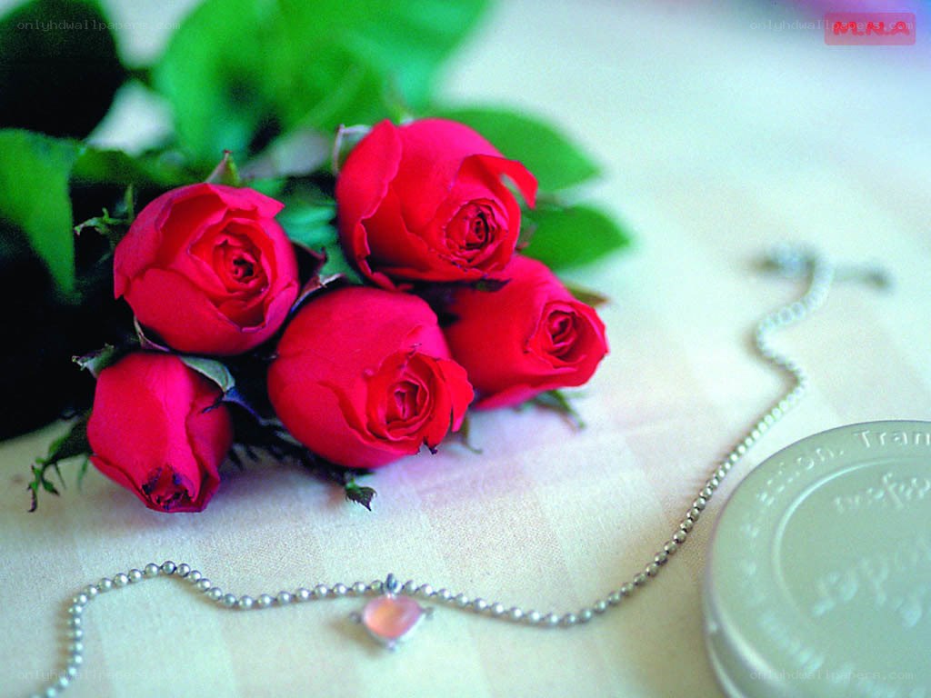 Red roses and necklace