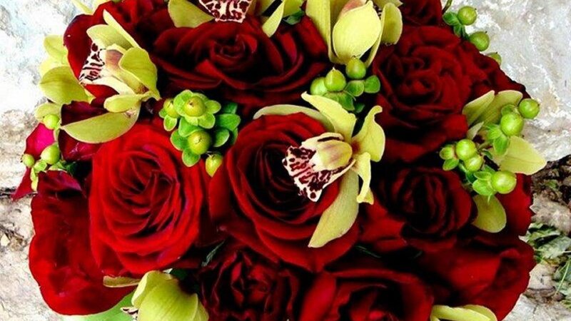 Red Roses and Orchids — Romantic
