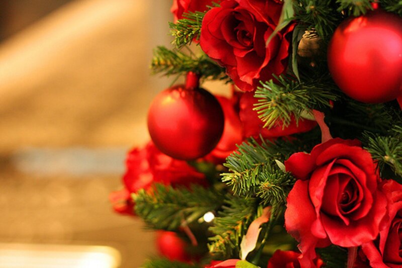 Red Roses and Ornaments