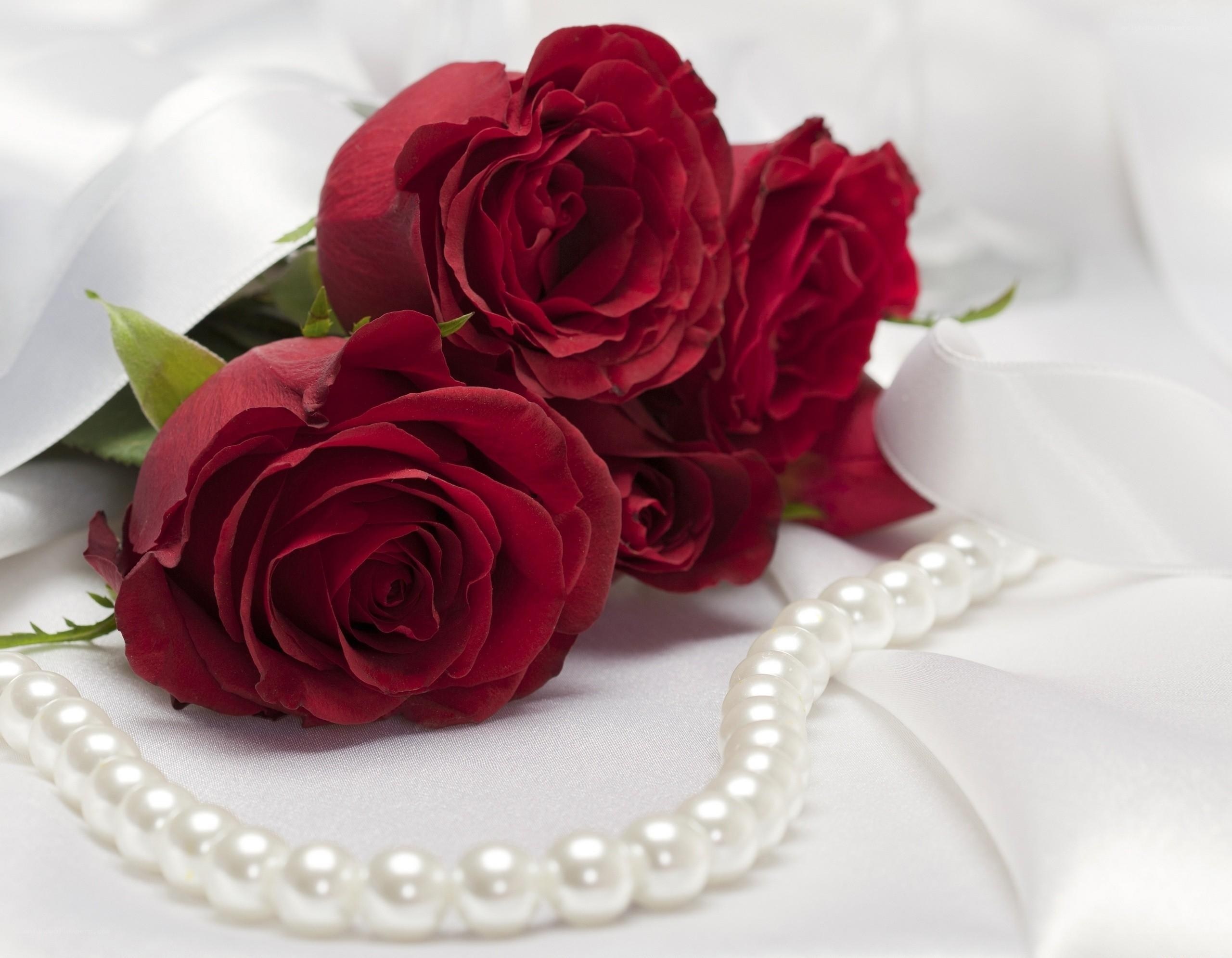 Red roses and pearl necklace
