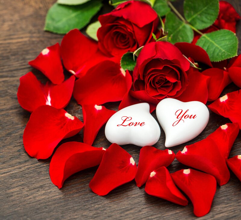 Red Roses and Petals — Romantic, Photograph, Heart-shaped Stones