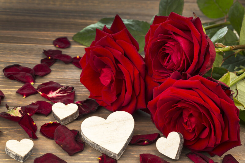 Red Roses and Petals — Romantic, Photograph, Heart Shapes
