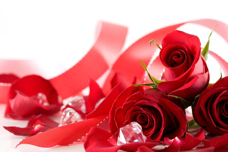 Red Roses and Petals — Romantic