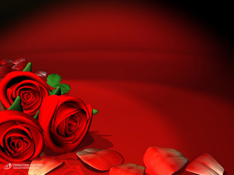 Red Roses and Petals