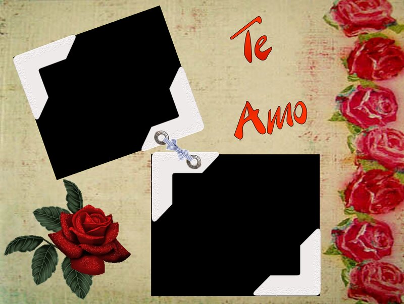 Red Roses and Photo Frames