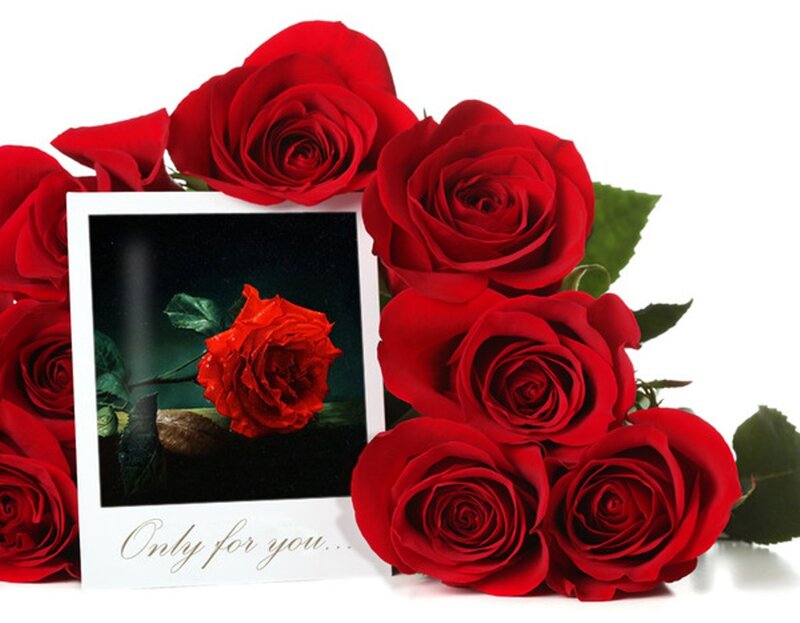 Red Roses and Photo