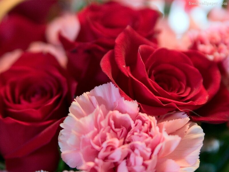 Red Roses and Pink Carnations