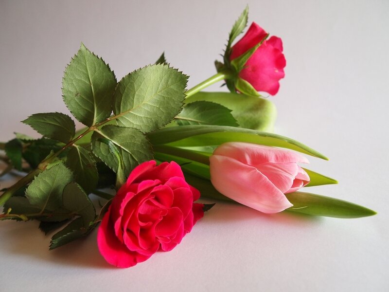 Red Roses and Pink Tulips