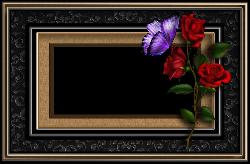 Red Roses and Purple Butterfly