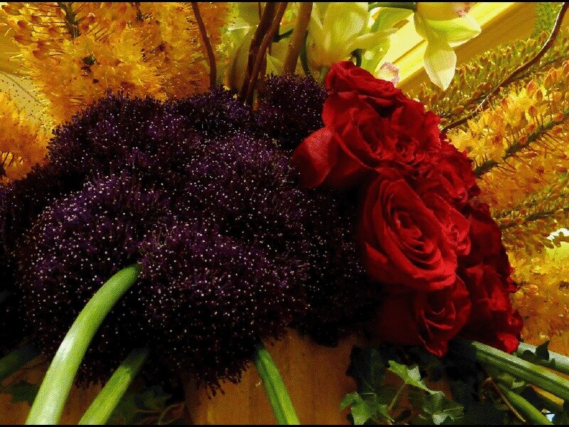 Red Roses and Purple Flowers