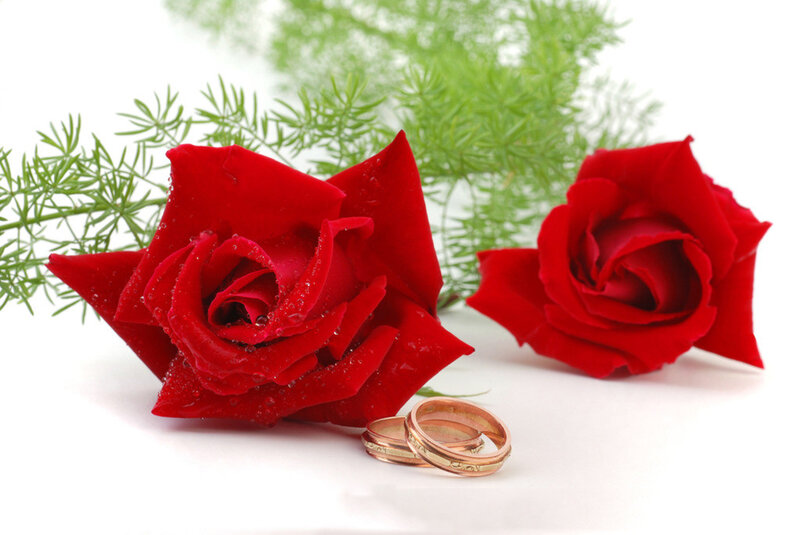 Red Roses and Rings — Romantic, Photograph