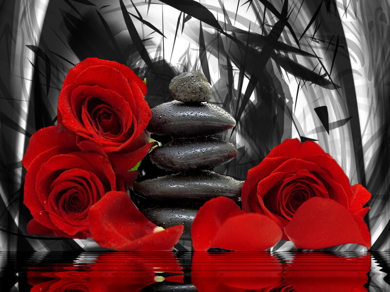 Red Roses and Stones