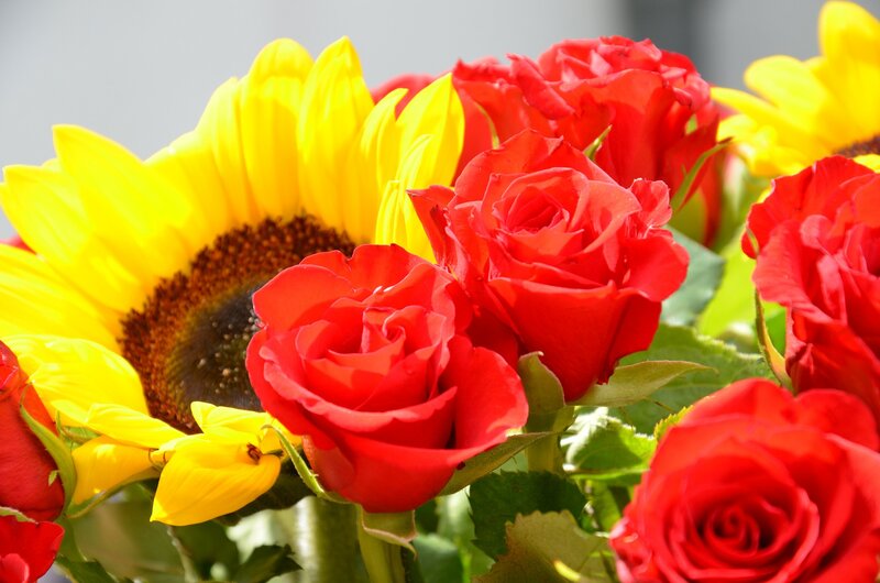 Red Roses and Sunflowers