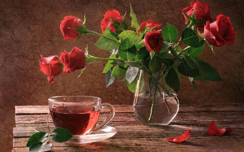 Red Roses and Tea Cup — Serene