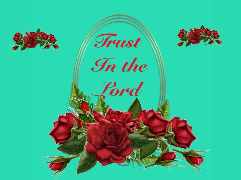 Red Roses and Text — Teal