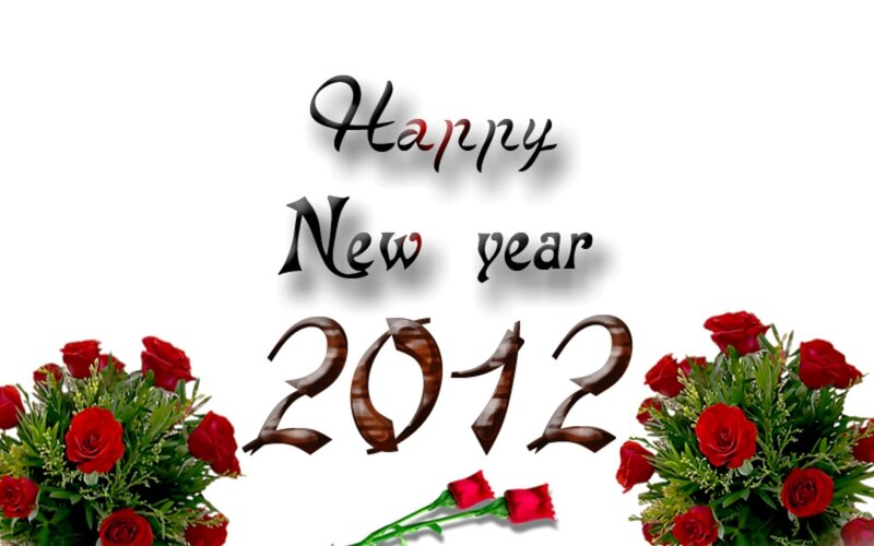 Red Roses and Text
