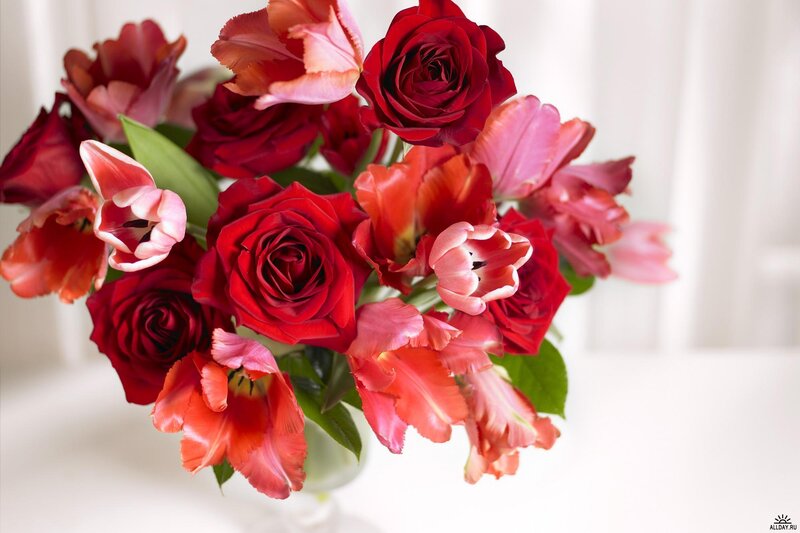 Red roses and tulips bouquet
