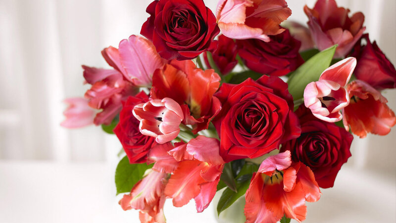 Red Roses and Tulips — Calm, Photograph, Flowers, Leaves