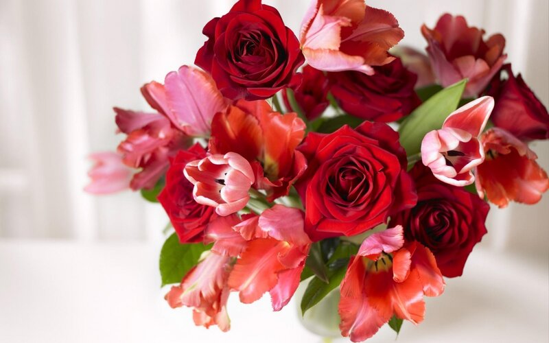 Red Roses and Tulips — Calm, Photograph, Flowers, Vase