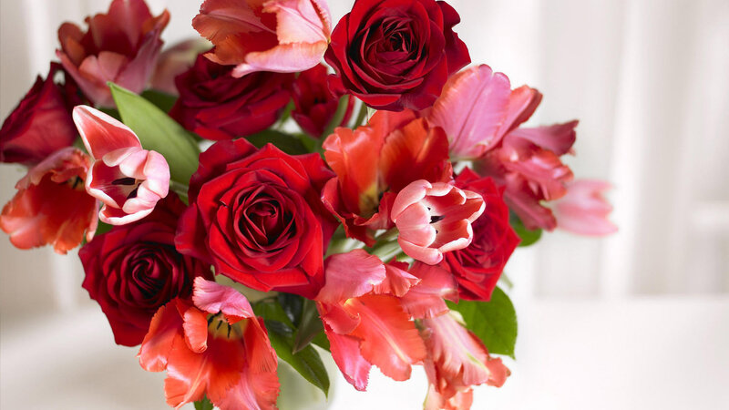 Red Roses and Tulips — Calm, Photograph