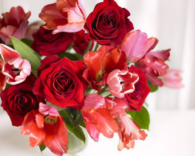 Red Roses and Tulips — Calm