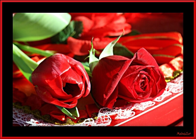 Red Roses and Tulips — Romantic