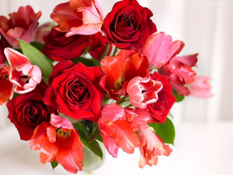 Red Roses and Tulips