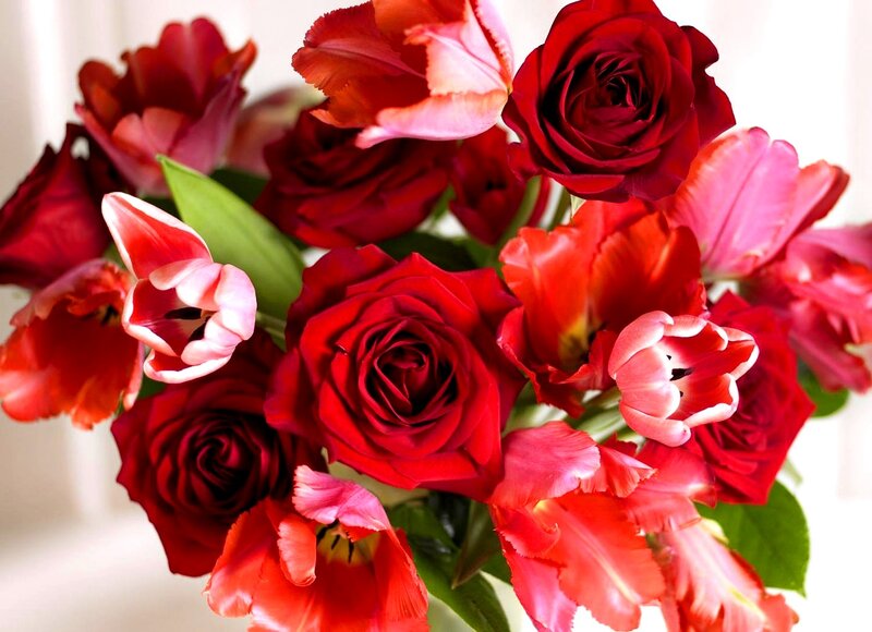 Red Roses and Tulips — Vibrant
