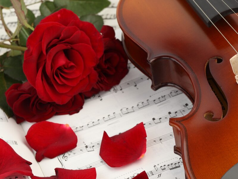 Red Roses and Violin — Romantic