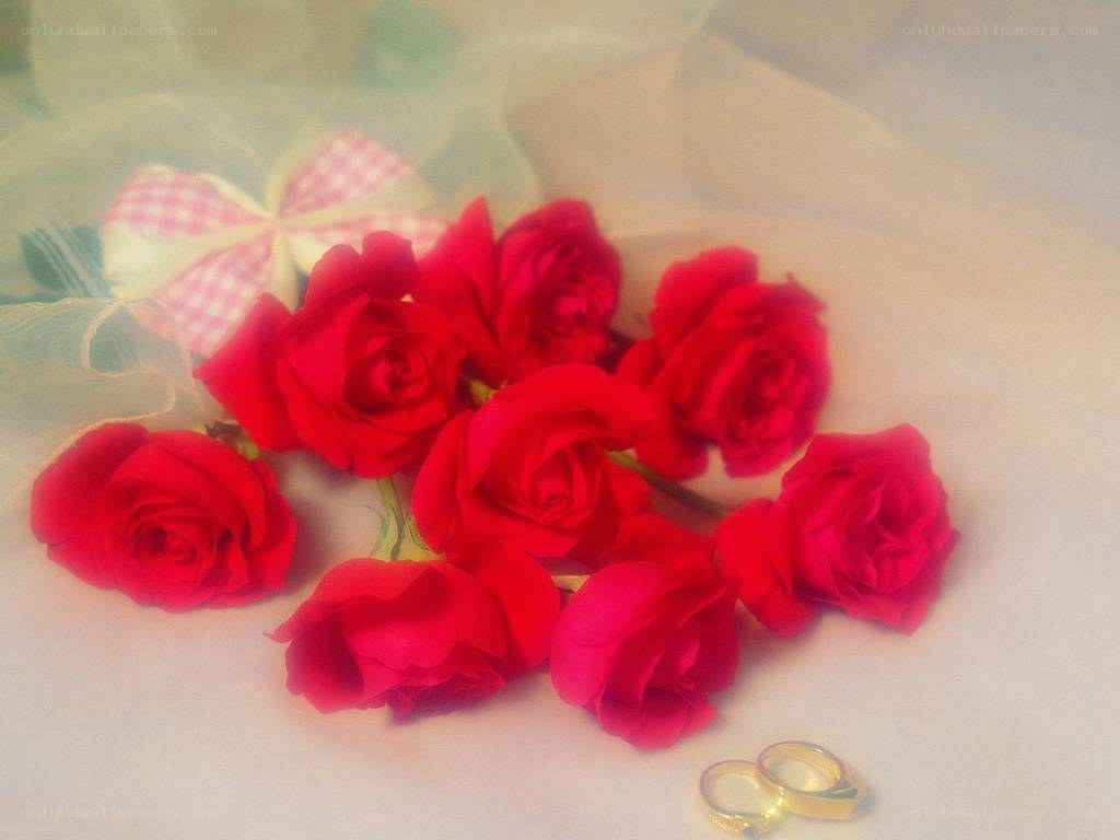 red roses and wedding rings