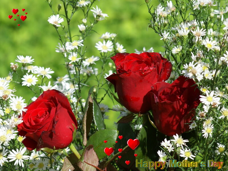 Red Roses and White Flowers — Festive