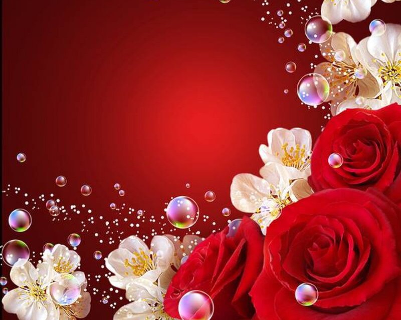 Red Roses and White Flowers — Romantic, Digital Art