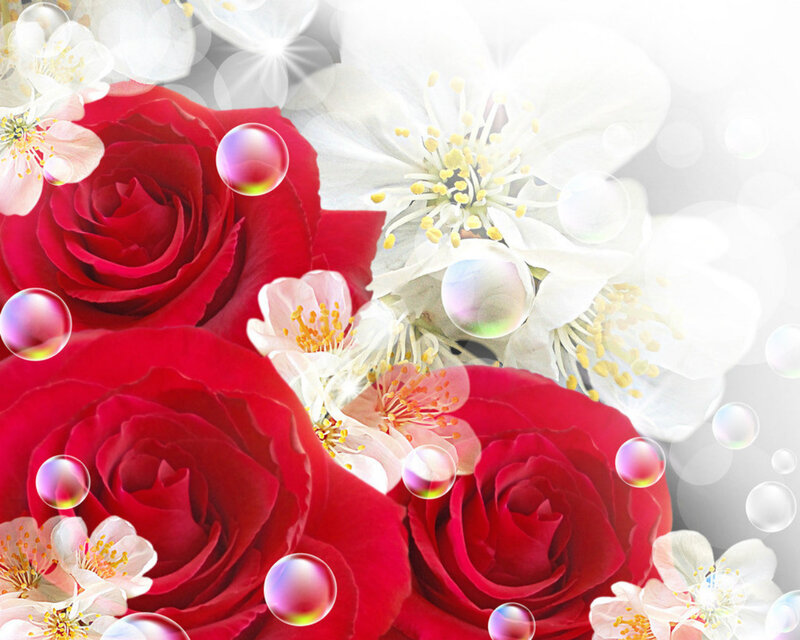 Red Roses and White Flowers — Romantic, Spring