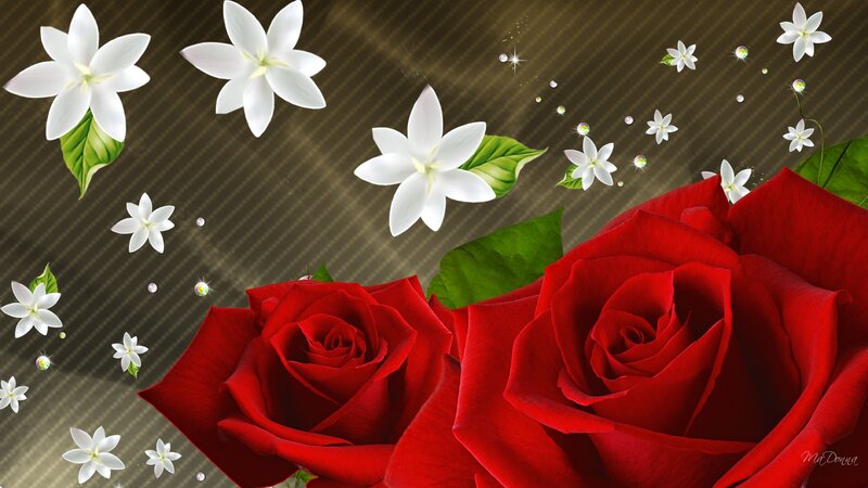 Red Roses and White Flowers — Romantic