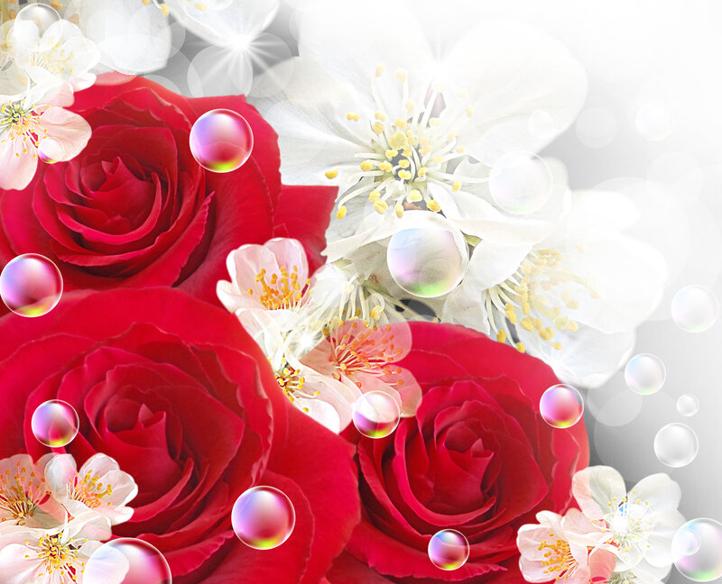 Red Roses and White Flowers — Serene, Digital Art