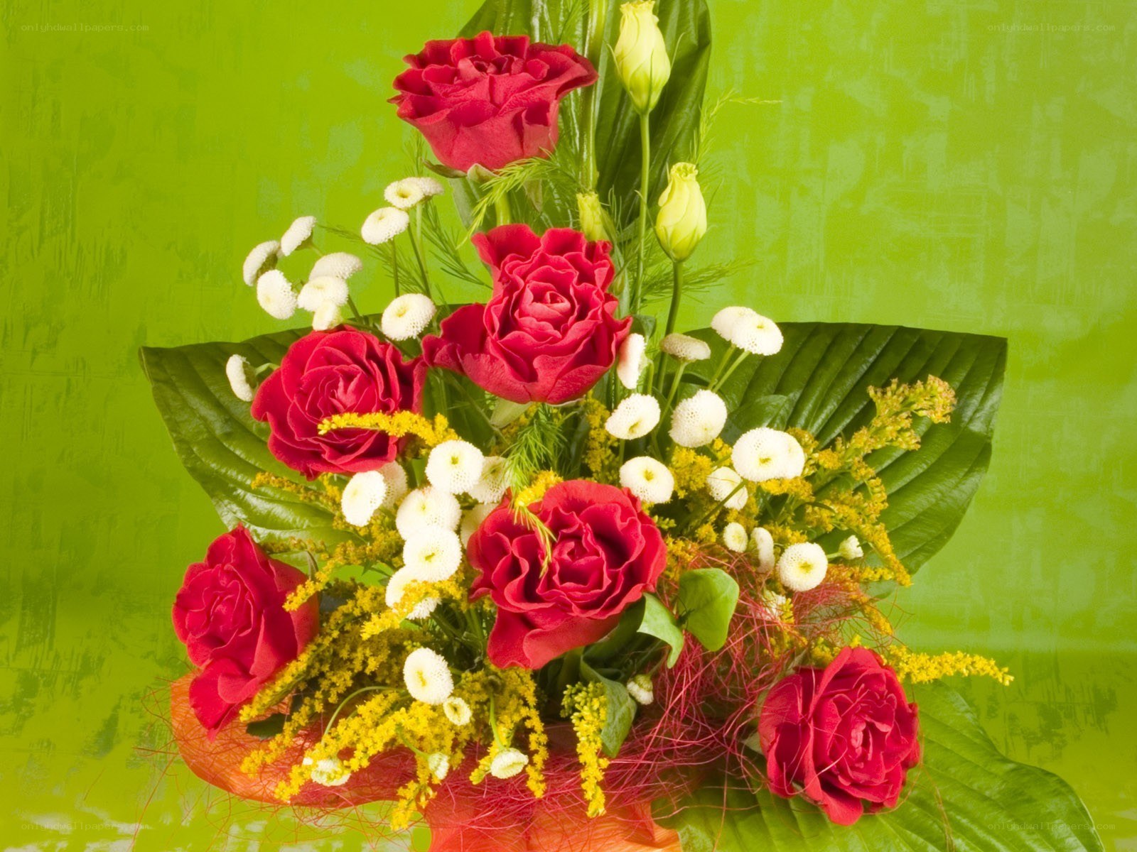 Red roses and white flowers