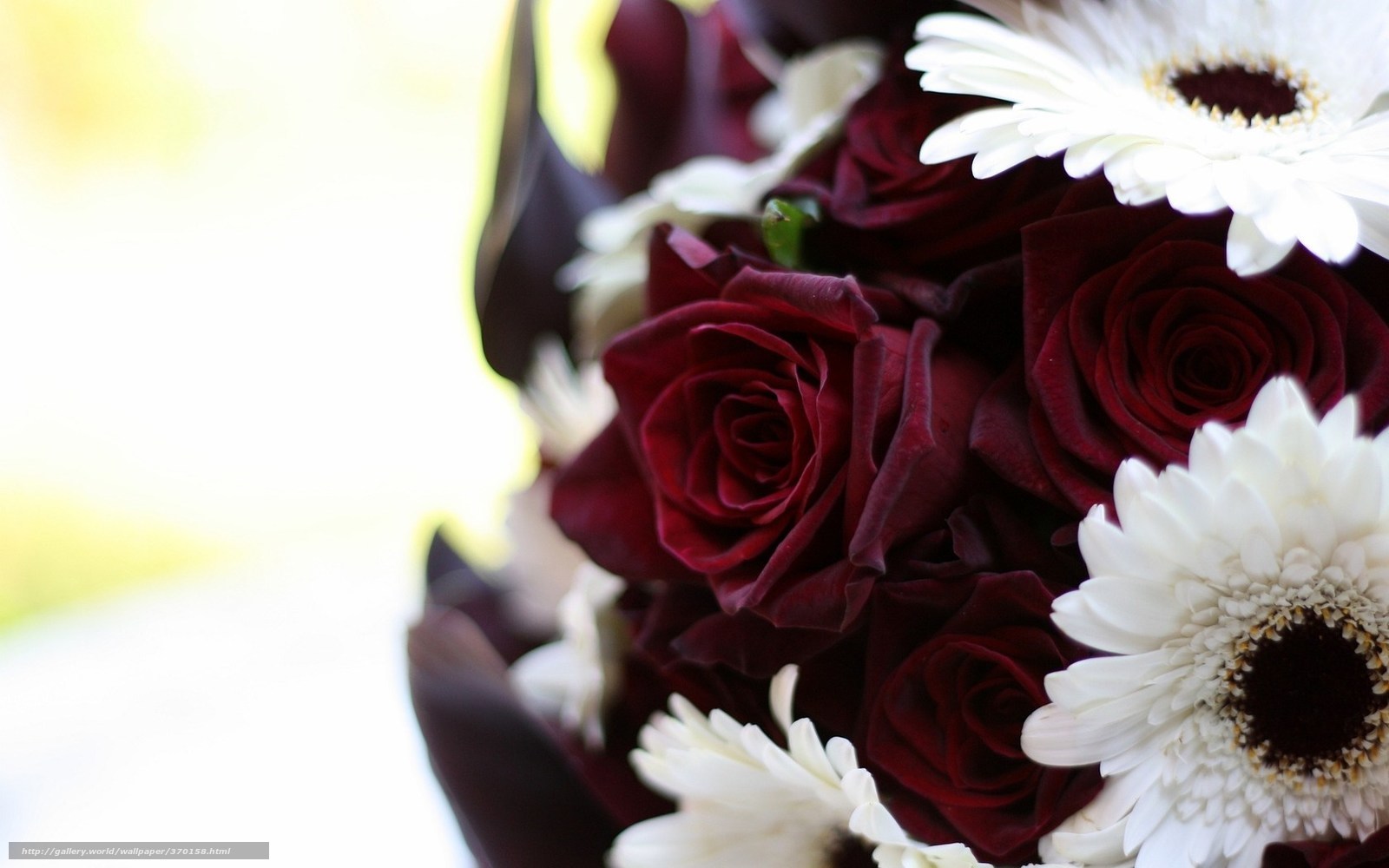 red roses and white gerberas