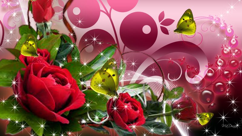 Red Roses and Yellow Butterflies