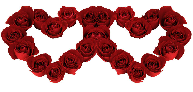 Red Roses Arranged in Heart