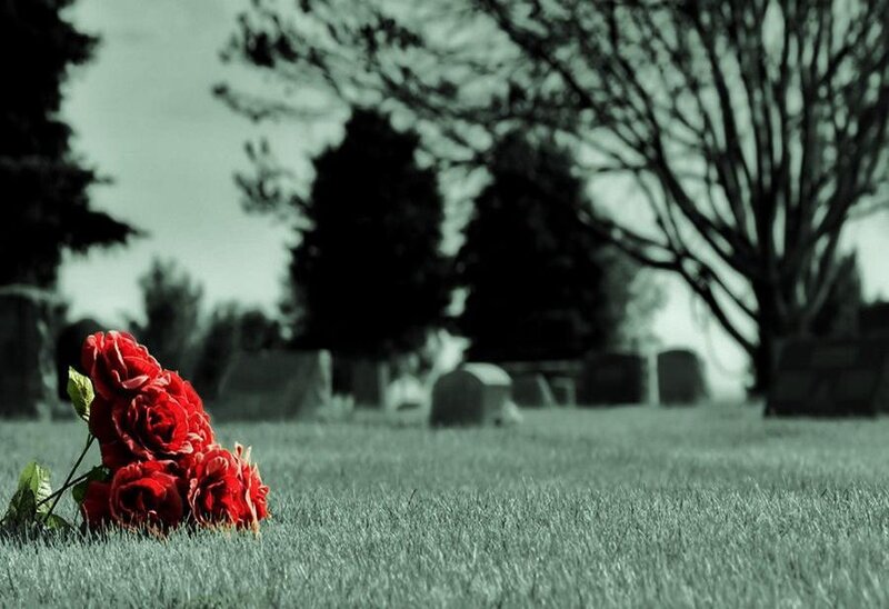 Red roses at a gravesite