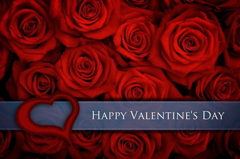 Red Roses Background
