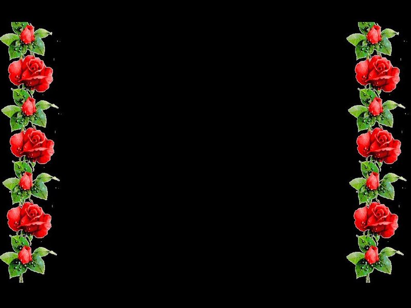 red roses border frame