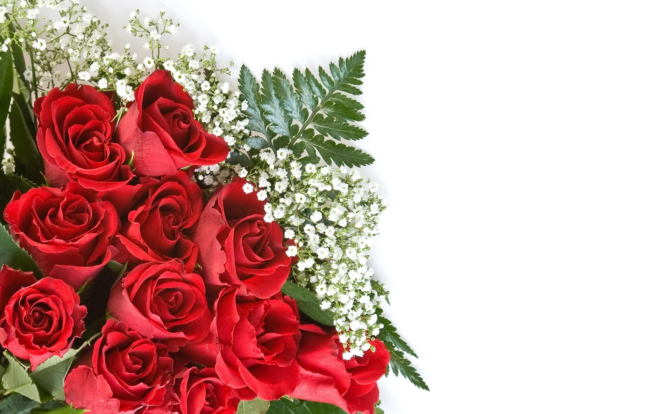 red roses bouquet