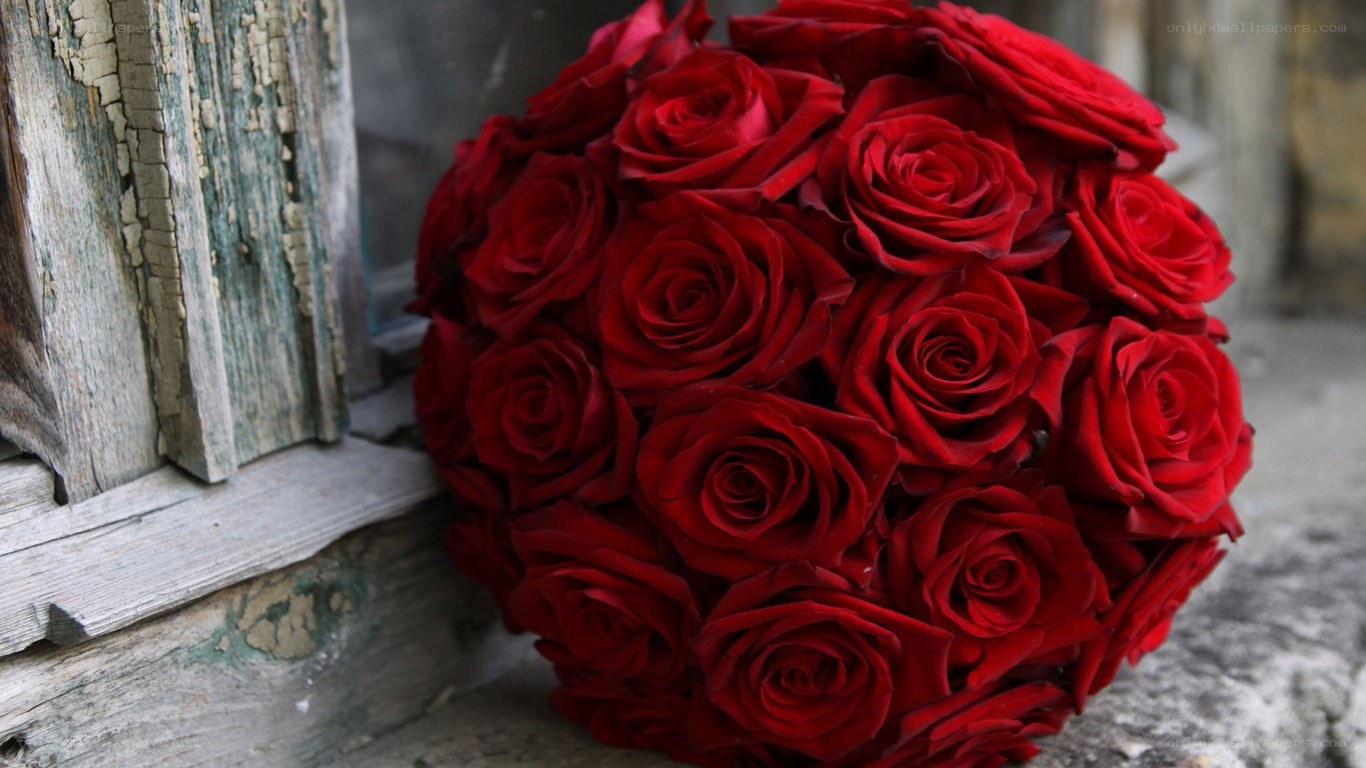 red roses bouquet
